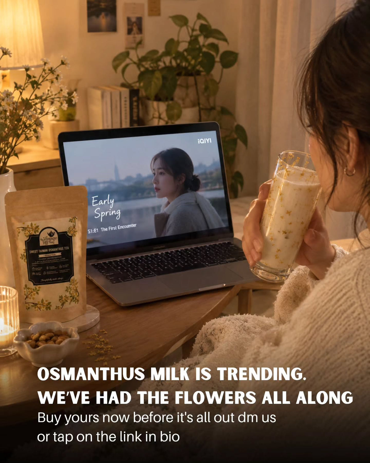 Luke's Osmanthus Milk Trending Asian Drama Early Spring - The Vintage Hill Teas